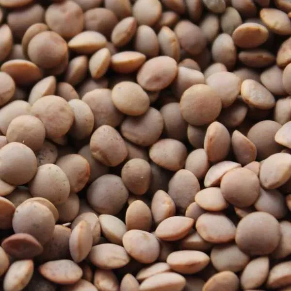 Lentils