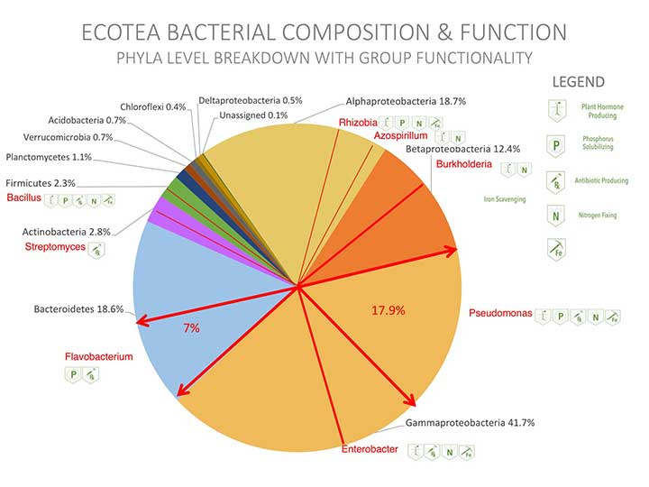EcoTea Bacteria with Functions