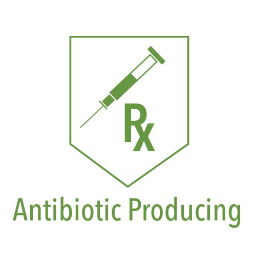 Antibiotic Producing