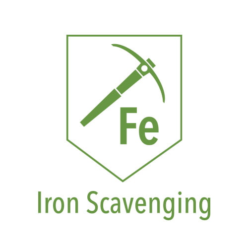 Iron Scavenging