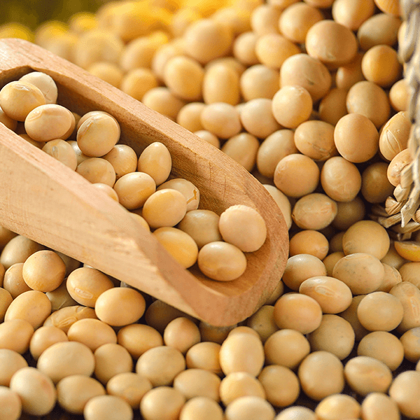 Soybeans