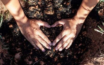 How to Safely Mix Fertilizers