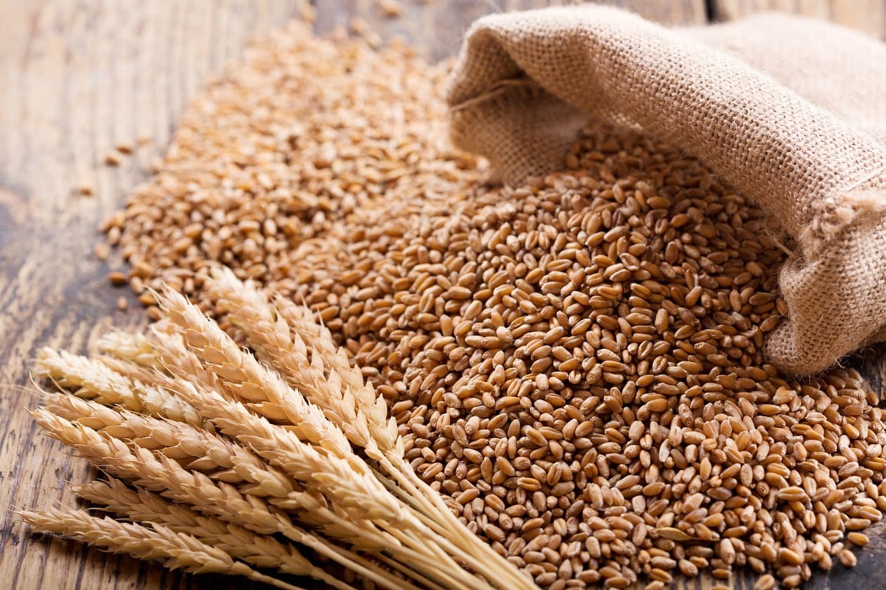 Wheat Berries Nutrition Facts and Health Benefits