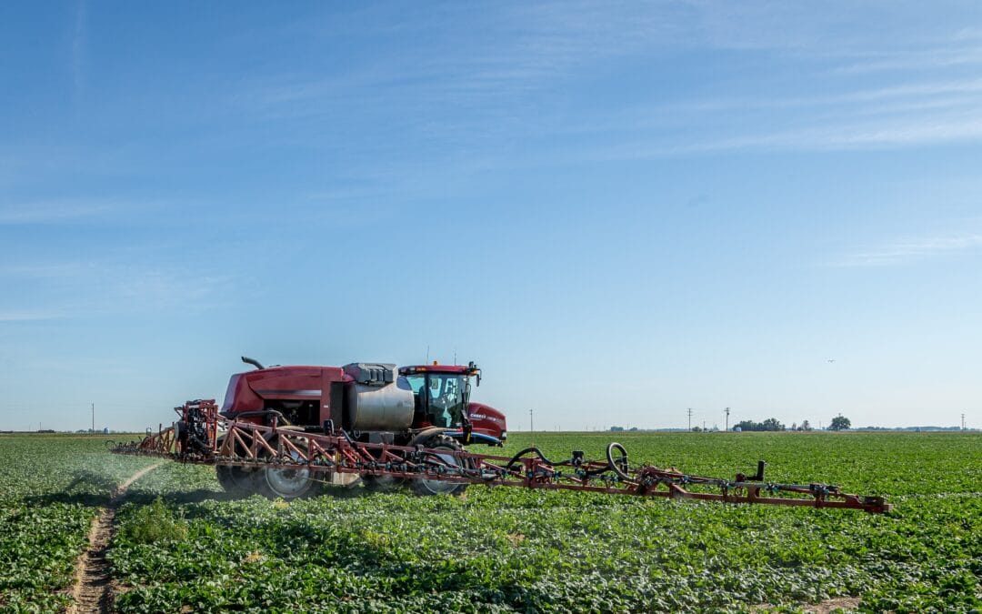 The Power Of Foliar Feeding - Foliar Feed Fertilizer Alberta Canada