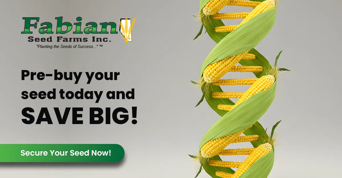 Fabian Corn Seed Banner